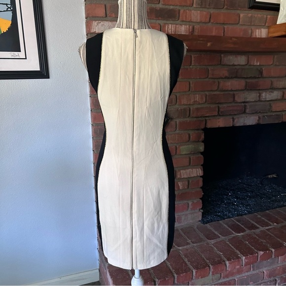 Rag & Bone Dupont Sleeveless Sheath Dress in Ivory/Black Sz 4 - Picture 7 of 10